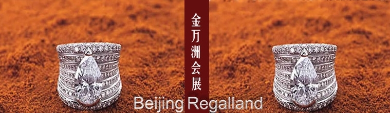 ���������޻�չ�������޹�˾ regalland